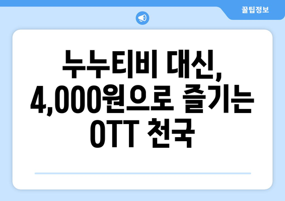 누누티비 대체: 한 달 4,000원으로 OTT 콘텐츠 즐기기