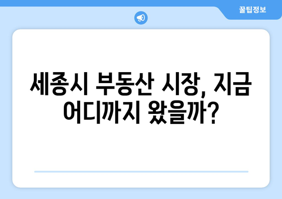 세종시 부동산 현황 분석: 부동산지인, 손품왕의 정보 활용