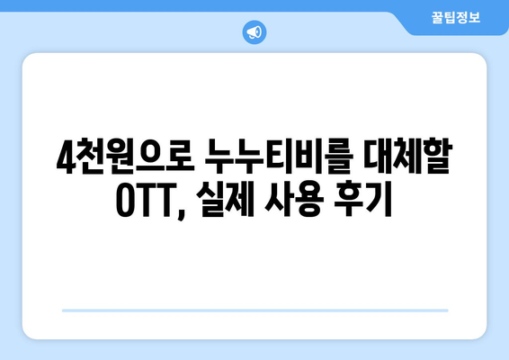 한 달에 4천원으로 누누티비 대체 OTT 이용 후기