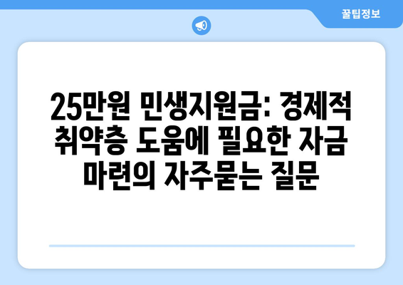 25만원 민생지원금: 경제적 취약층 도움에 필요한 자금 마련