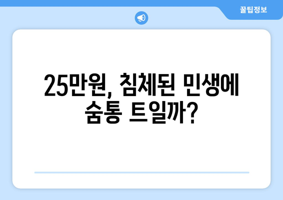 1인당 25만 원 지원금 지급으로 민생 회복