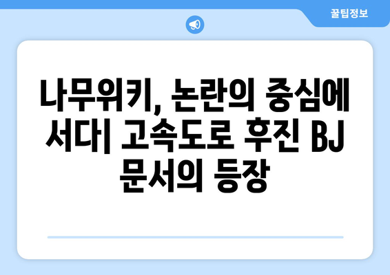 "고속도로 후진 BJ" 논란 관련 나무위키 특이점