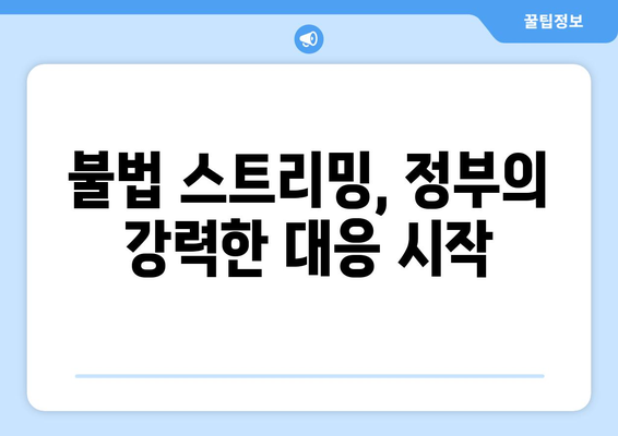 정부의 누누티비 차단 대책: 늦은 반응이지만 효과적