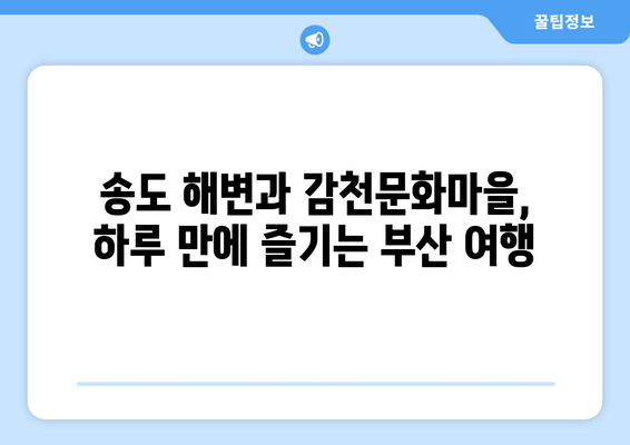 부산 송도 케이블카 및 감천마을 (2024)