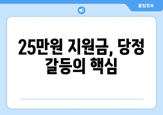 이재명의 25만원 지원금: 당정 충돌의 도화선