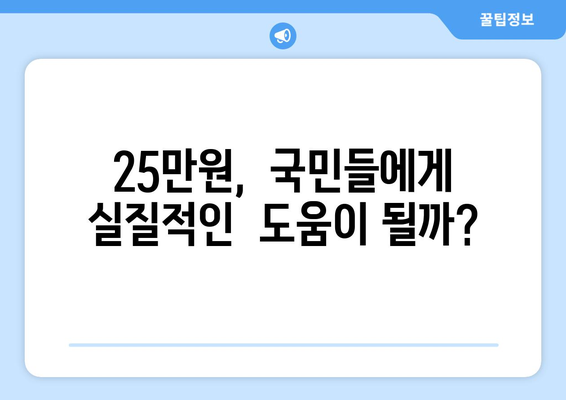 민생회복 지원금 25만원, 합리적인 제안인가?