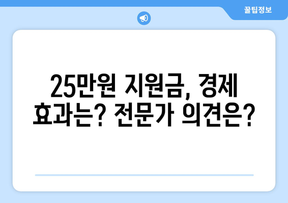 기자회견에서 논의된 경제 이슈: 25만 원 민생 지원금 등