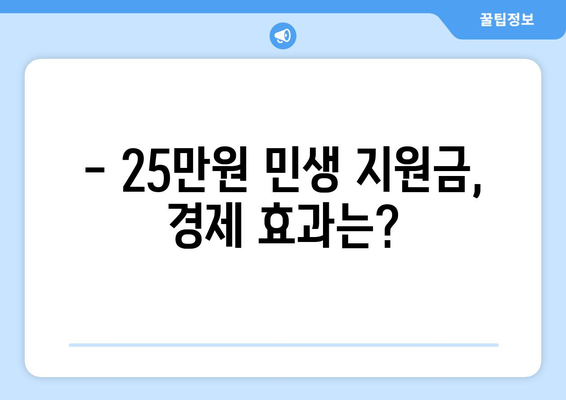 25만원 민생 지원금, 경제 관련 기자회견 발언