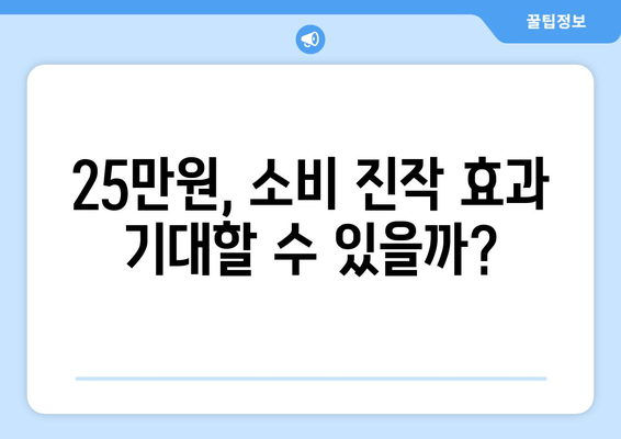 25만원 지원금: 일상적 경제적 지원이 될 것인가?