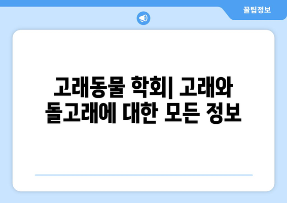 고래동물 학회: 고래와 돌고래에 대한 모든 정보