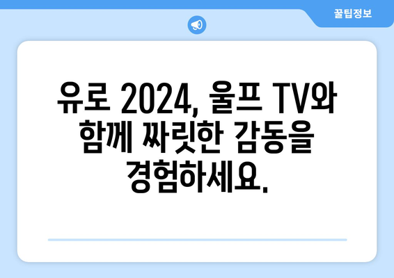 유로 2024 중계: 모바일, 해외 스포츠, 울프 TV