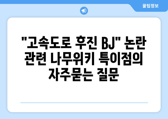 "고속도로 후진 BJ" 논란 관련 나무위키 특이점