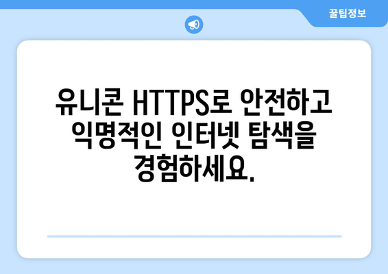 IP 우회 프로그램 유니콘 HTTPS