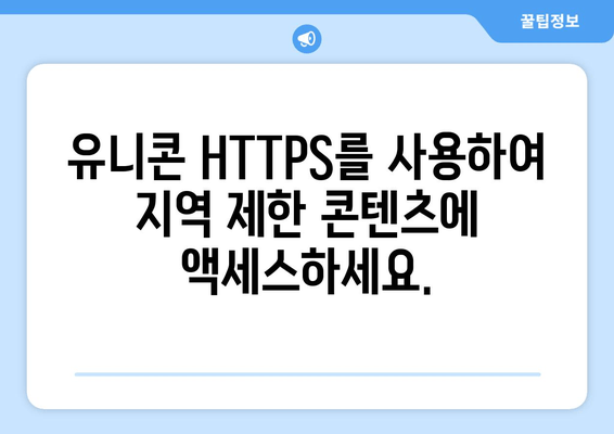 IP 우회 프로그램 유니콘 HTTPS