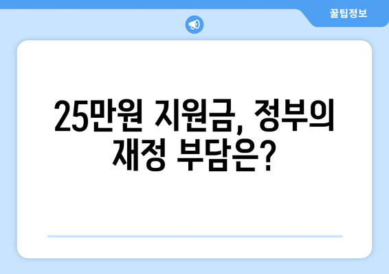 정부의 25만원 민생지원금: 재정적 부담 완화하기