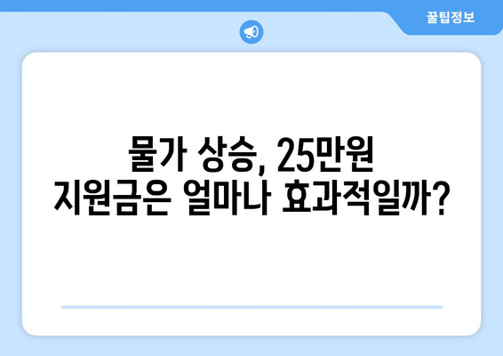 25만원 지원금, 화폐가치나 주택 가치에 영향을 미칠까?