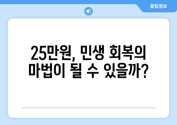 민생회복지원금 25만원: 논란의 여지 있는 공약