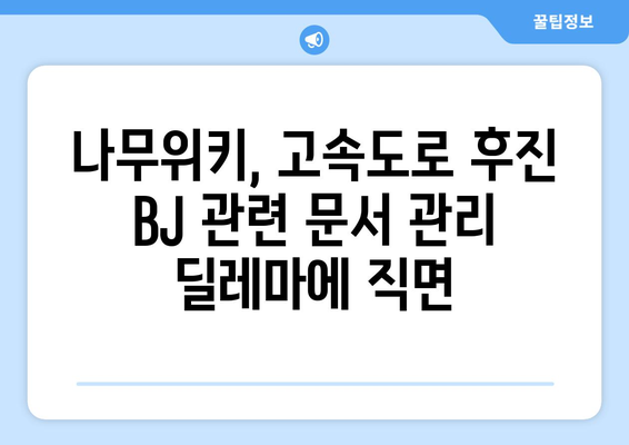 "고속도로 후진 BJ" 논란 관련 나무위키 특이점