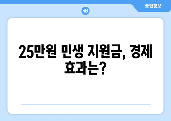 1인당 25만원 민생 지원금: 이재명의 제안