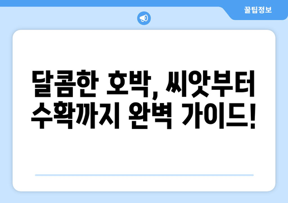 호박 재배, 보관, 가공에 대한 팁