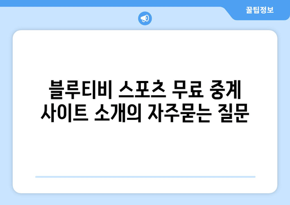 블루티비 스포츠 무료 중계 사이트 소개