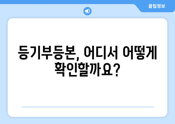 전세 사기 예방 첫걸음! 등기부등본 제대로 보는 법