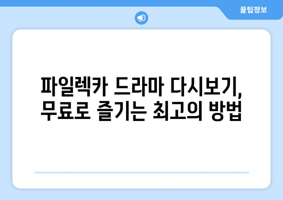 드라마 파일렉카에서 무료로 다시보기