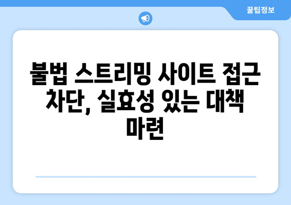 누누티비 재발 방지 정부 차원 대책 추진