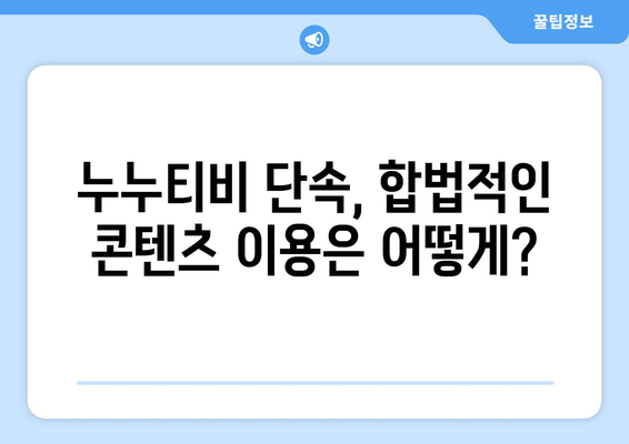 누누티비 연말까지 집중 단속