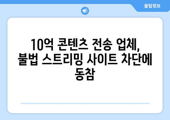 불법 스트리밍 사이트 예방: 10억 콘텐츠전송 업체에 의무 부과