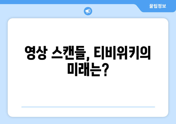 영상 스캔들과 티비위키: 팬들과 소통 논란