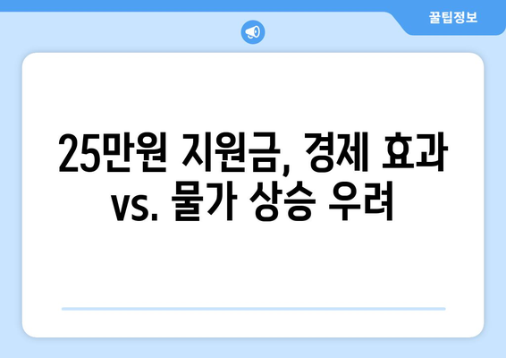 25만 원 민생 복지 지원금 충당: 화폐 가치 하락 우려