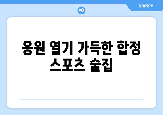 스포츠 중계를 볼 수 있는 합정단체모임 술집 제안