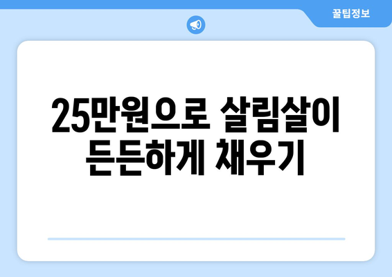 경제적 어려움에 맞서 싸우기: 25만원 민생지원금 사용법