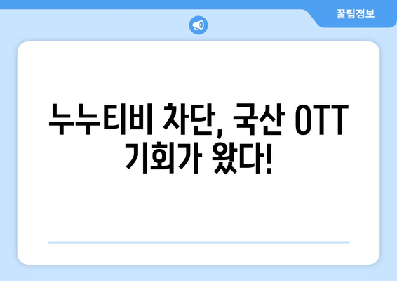 누누티비 2개월 차단, 국산 OTT 수요 증가