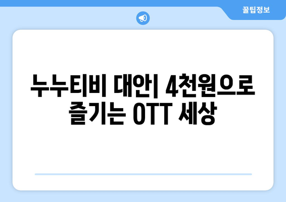 누누티비 대신 한달에 4천원으로 OTT 즐기기