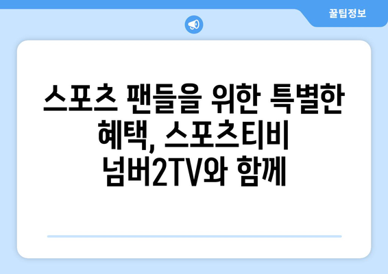 스포츠 중계 속의 독보적인 존재: 스포츠티비 넘버2TV