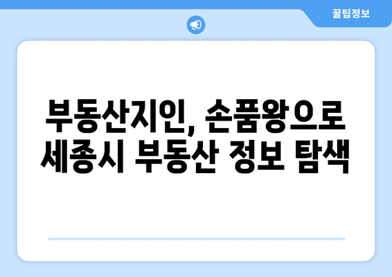 세종시 부동산 현황 분석: 부동산지인, 손품왕의 정보 활용