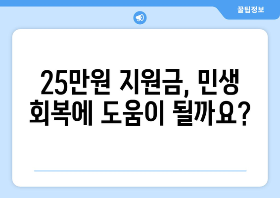 민생 회복에 기여할 25만 원 지원금