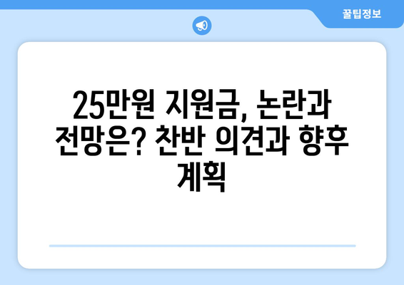 특별법으로 추진되는 25만원 지원금