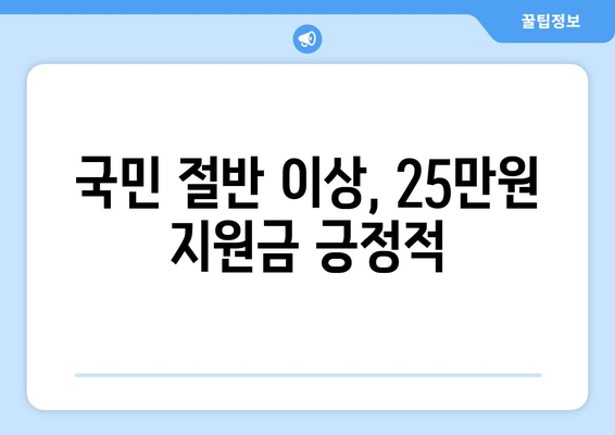 전국민 25만 원 민생 지원금에 대한 여론 조사