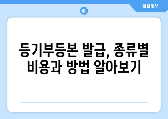 부동산 등기부등본 열람과 발급 절차 완벽 가이드