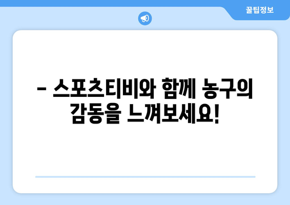 스포츠티비: 농구에 대한 당신의 열정을 불태우는 곳