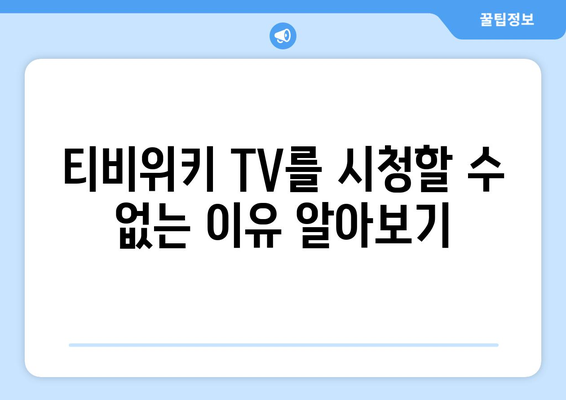 티비위키 TV에서 우회 방법