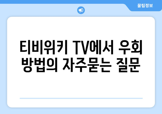 티비위키 TV에서 우회 방법