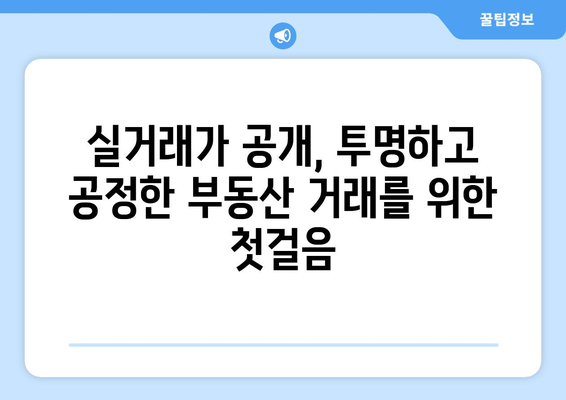 부동산 거래관리 시스템 변경: 실거래가 공개 개선