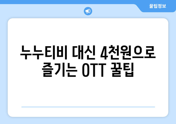 누누티비 대신 4천원에 OTT 구독하는 방법