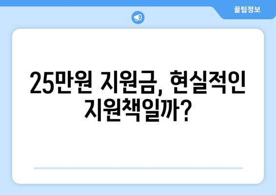 다자녀 가정 지원책으로서의 25만원 지원금