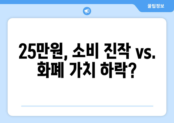 25만 원 민생 복지 지원금 충당: 화폐 가치 하락 우려