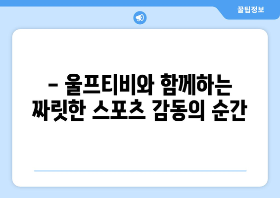 스포츠중계 모바일 중계 해외스포츠중계 울프티비